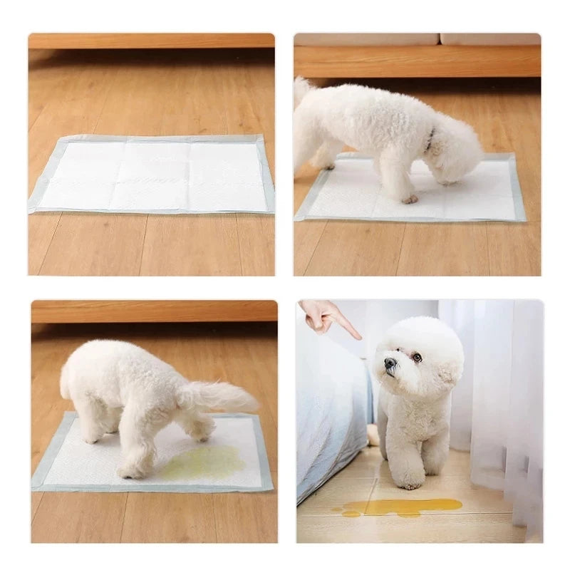 Super Absorbent Dog Pee Pads (20pcs)