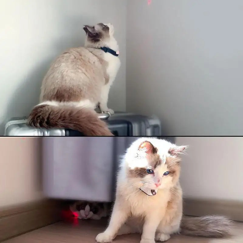 Wearable Cat Toy LED Laser Collar