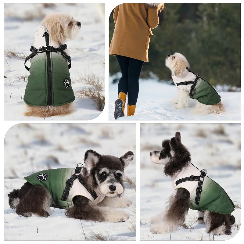 Pet Dog Winter Warm Jacket with Harness