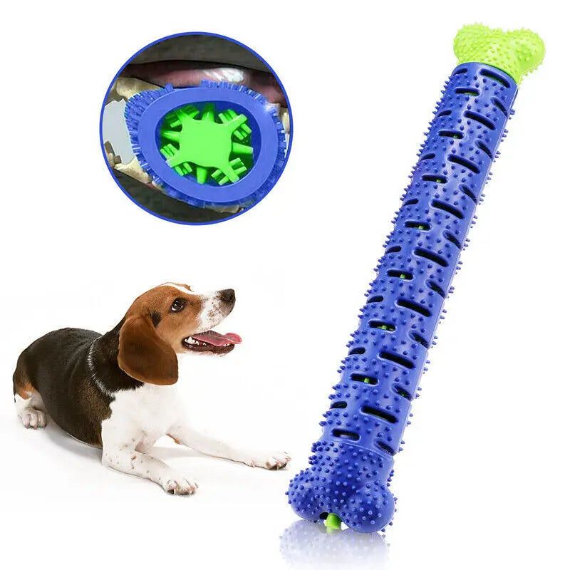 Durable TPR Dog Toothbrush Chew Toy