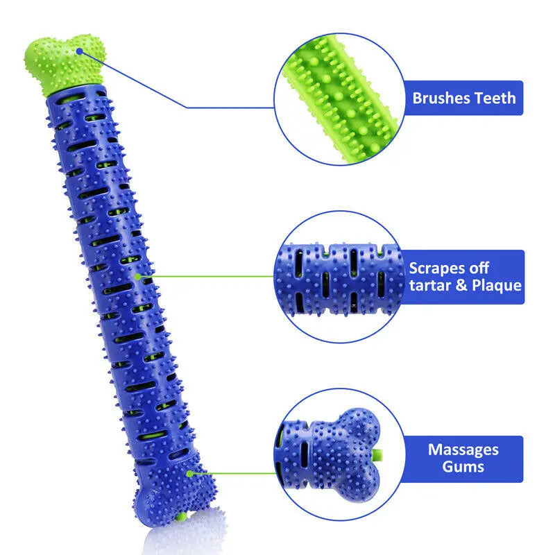 Durable TPR Dog Toothbrush Chew Toy