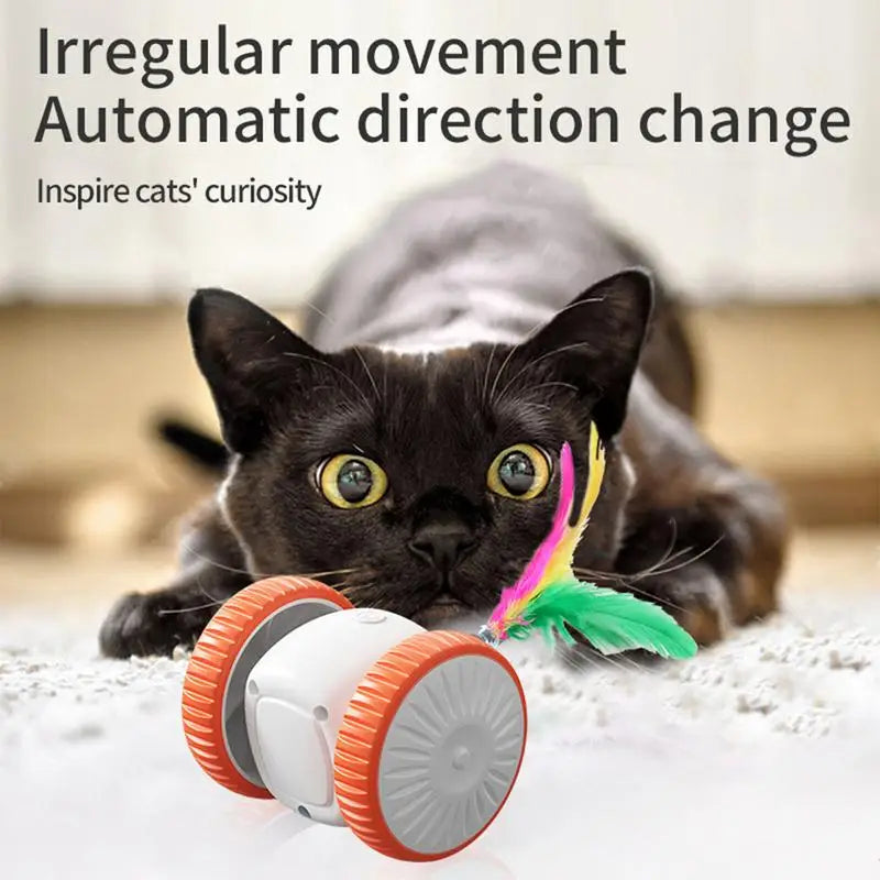 Indoor Automatic Moving Cat Toy - Interactive Electric Chasing Toy