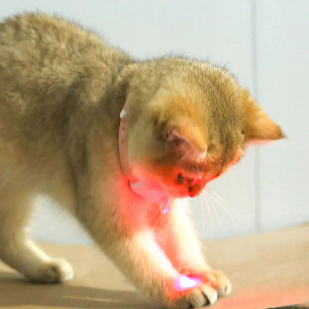 Interactive Infrared Cat Toy Collar