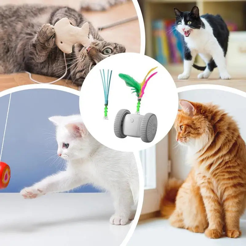 Indoor Automatic Moving Cat Toy - Interactive Electric Chasing Toy