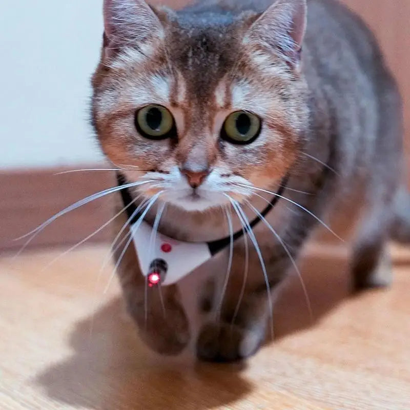 Wearable Cat Toy LED Laser Collar