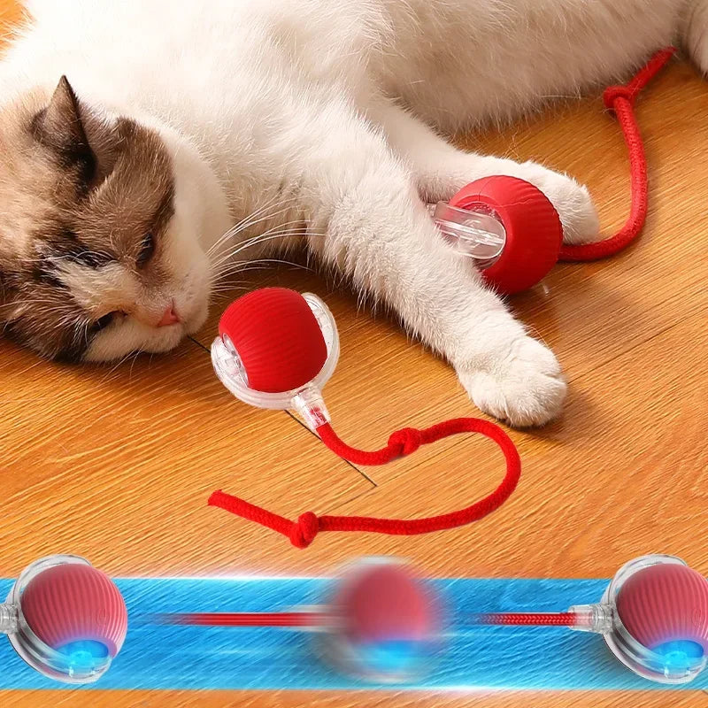 Smart Rolling Ball with Fake Tail – Rechargeable Interactive Pet Toy