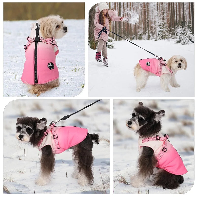 Pet Dog Winter Warm Jacket with Harness