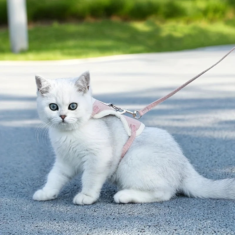 Little Pet Harness & Leash Set for Cats & Small Dogs