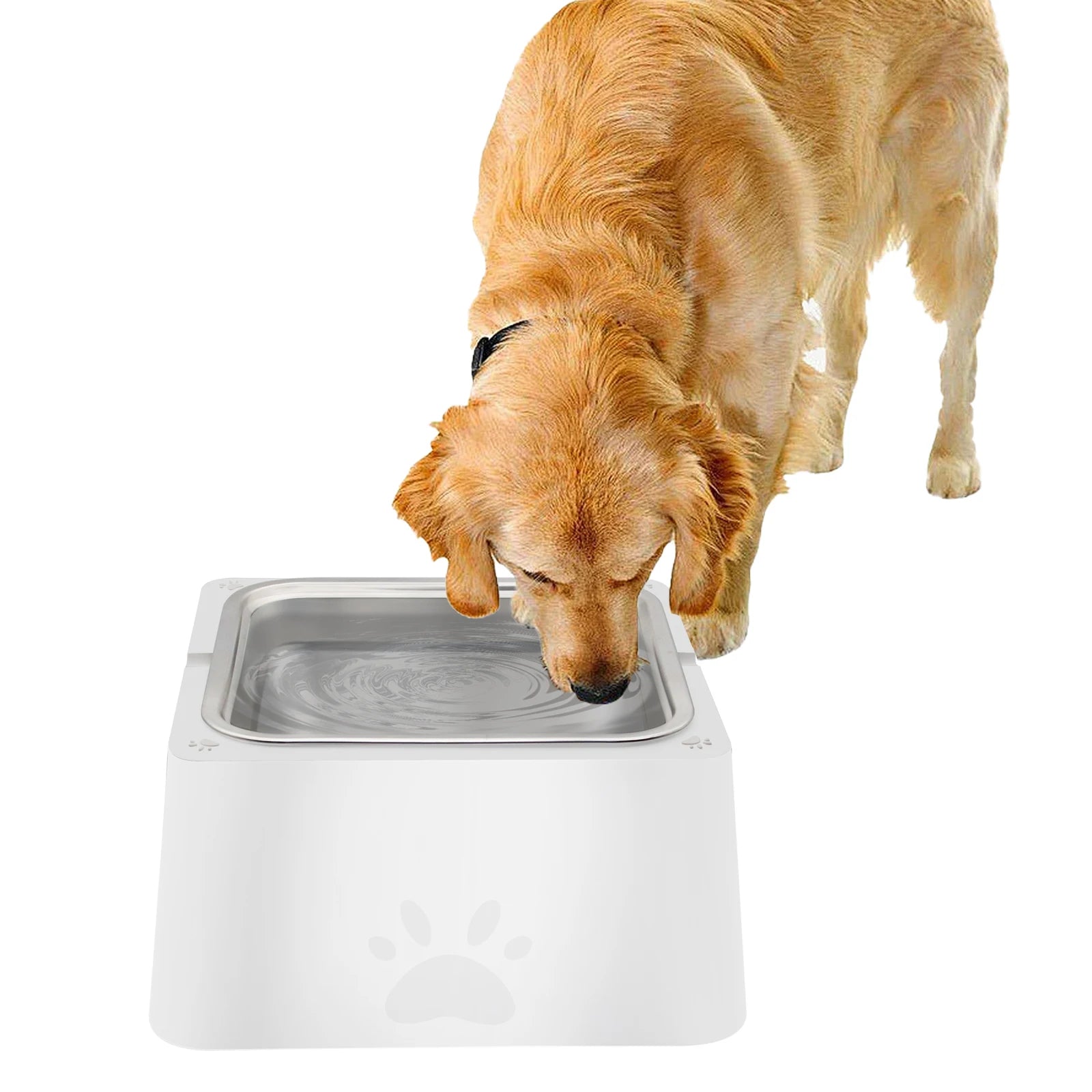 4L Large Dog Water Bowl with Stainless Steel Design