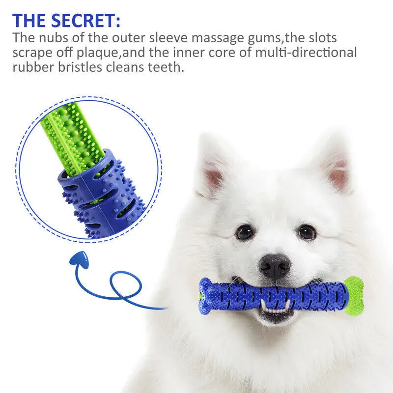 Durable TPR Dog Toothbrush Chew Toy