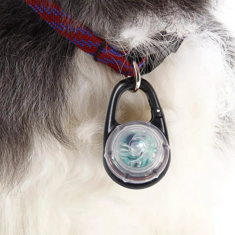 Rainbow IPX7 Waterproof LED Pet Collar Pendant