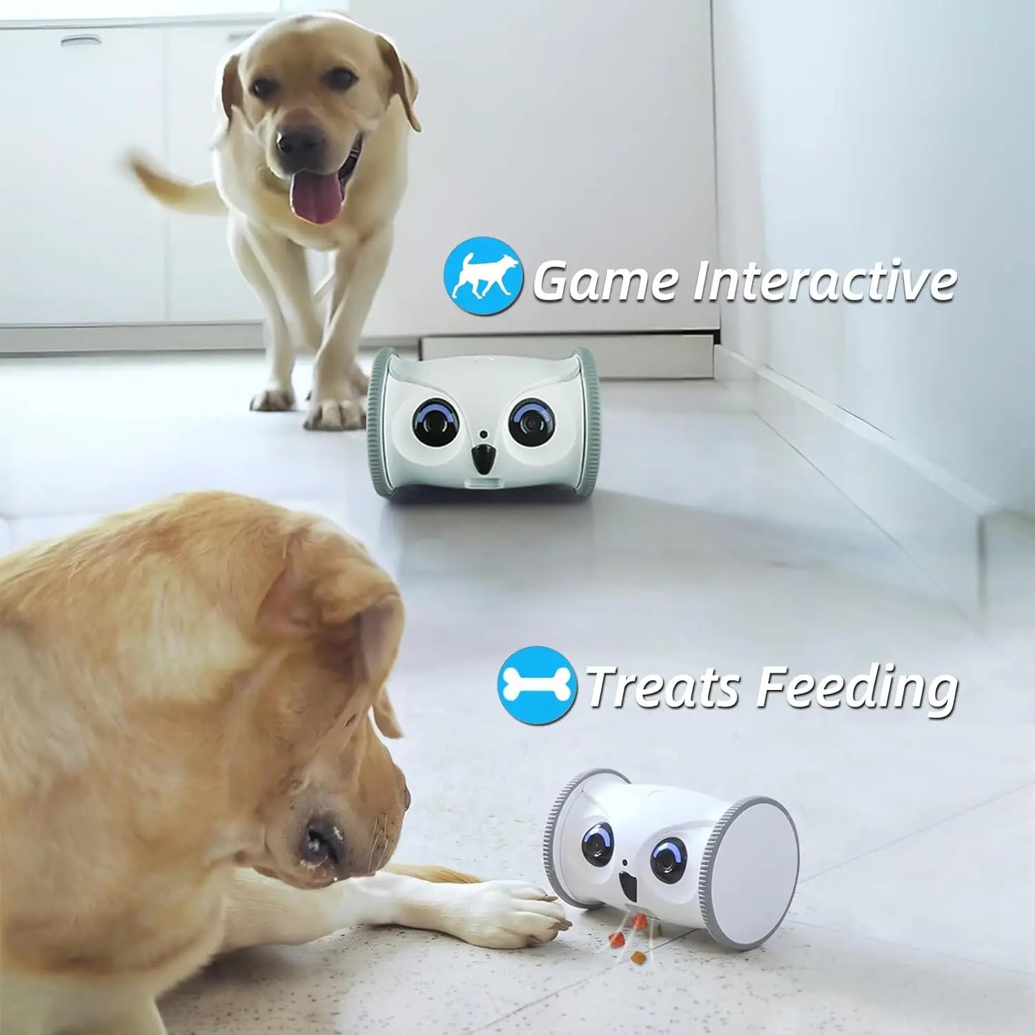 Pet Camera with Treat Dispenser & Interactive Toy for Dogs and Cats