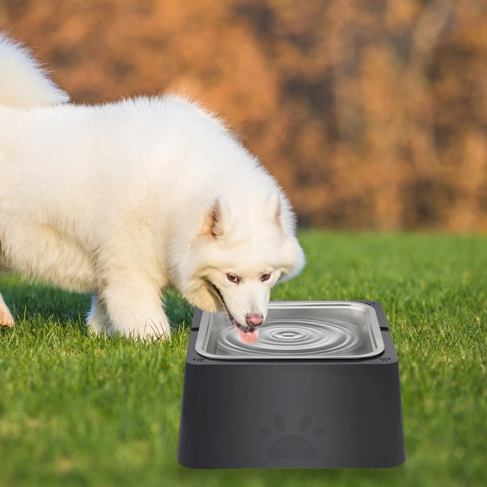 4L Large Dog Water Bowl with Stainless Steel Design