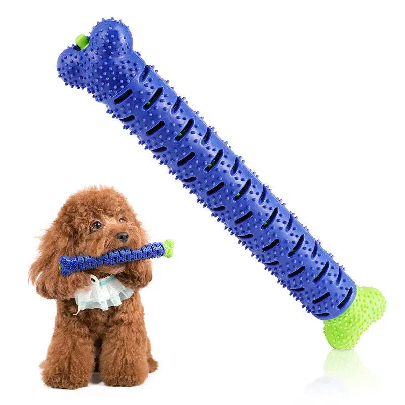 Durable TPR Dog Toothbrush Chew Toy