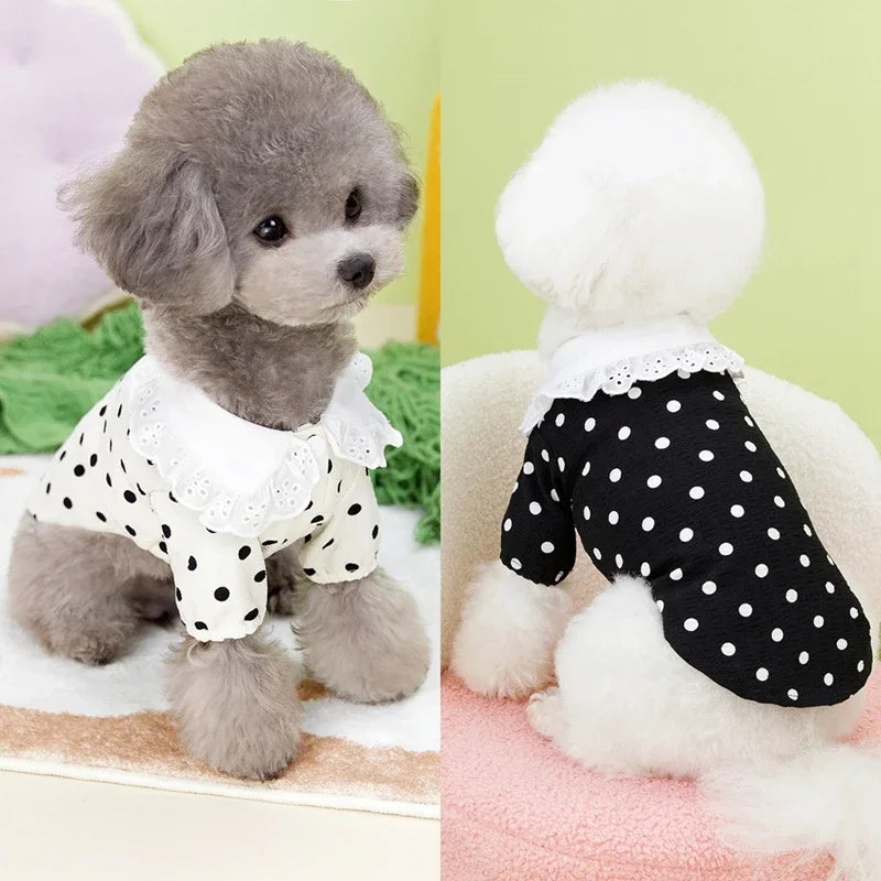 Cute Polka Dotted Lace Bow Black & White Puppy T-shirt for Small Dogs